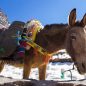 Les Meilleurs Excursions, Tours et Activités au Maroc