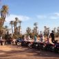 Les Meilleurs Excursions, Tours et Activités au Maroc