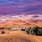 Les Meilleurs Excursions, Tours et Activités au Maroc