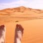 Les Meilleurs Excursions, Tours et Activités au Maroc