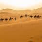 Les Meilleurs Excursions, Tours et Activités au Maroc