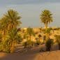 Les Meilleurs Excursions, Tours et Activités au Maroc