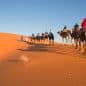 Les Meilleurs Excursions, Tours et Activités au Maroc