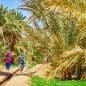 Les Meilleurs Excursions, Tours et Activités au Maroc