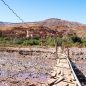 Les Meilleurs Excursions, Tours et Activités au Maroc
