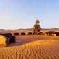 Les Meilleurs Excursions, Tours et Activités au Maroc