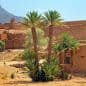 Les Meilleurs Excursions, Tours et Activités au Maroc