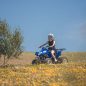 Les Meilleurs Excursions, Tours et Activités au Maroc