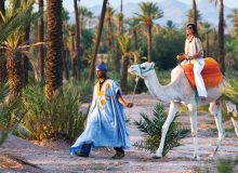 Les Meilleurs Excursions, Tours et Activités au Maroc