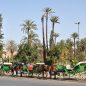 Les Meilleurs Excursions, Tours et Activités au Maroc
