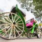 Les Meilleurs Excursions, Tours et Activités au Maroc