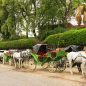 Les Meilleurs Excursions, Tours et Activités au Maroc
